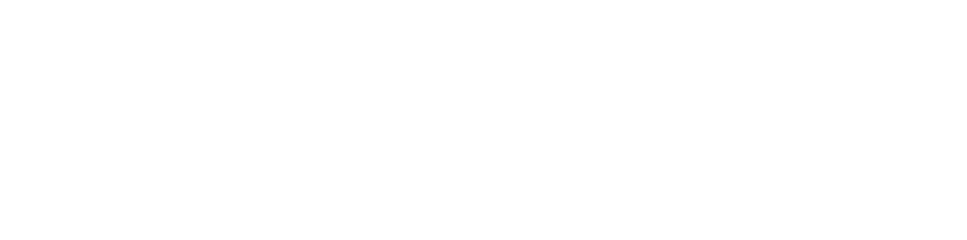 MetricRun